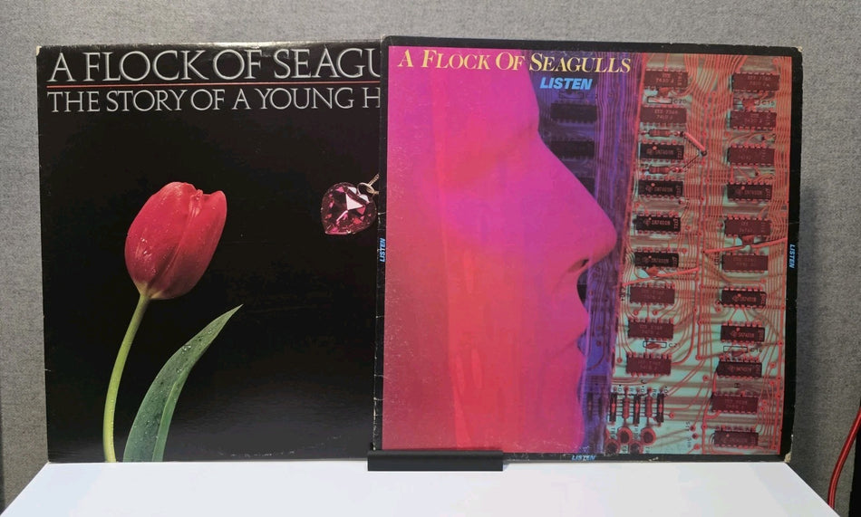 A Flock Of Seagulls The Story Of A Young Heart+ Listen  12" VINYL RECORD x20