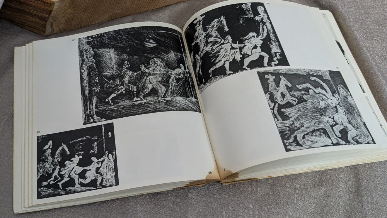 Picasso 347 Engravures Softcover