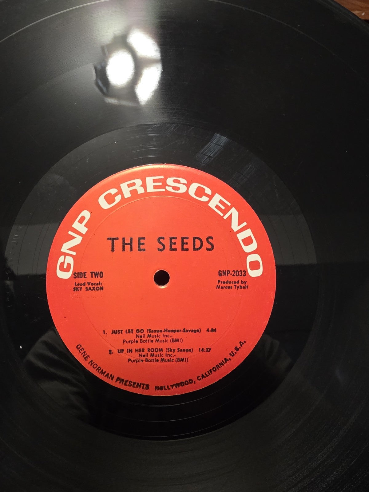 The Seeds  A Web Of Sound 1966 LP GNP Crescendo GNP 20333