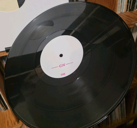 ANAGRAM & THE CREEPING NOBODIES   12" RECORD   LTD  2006   Canada5