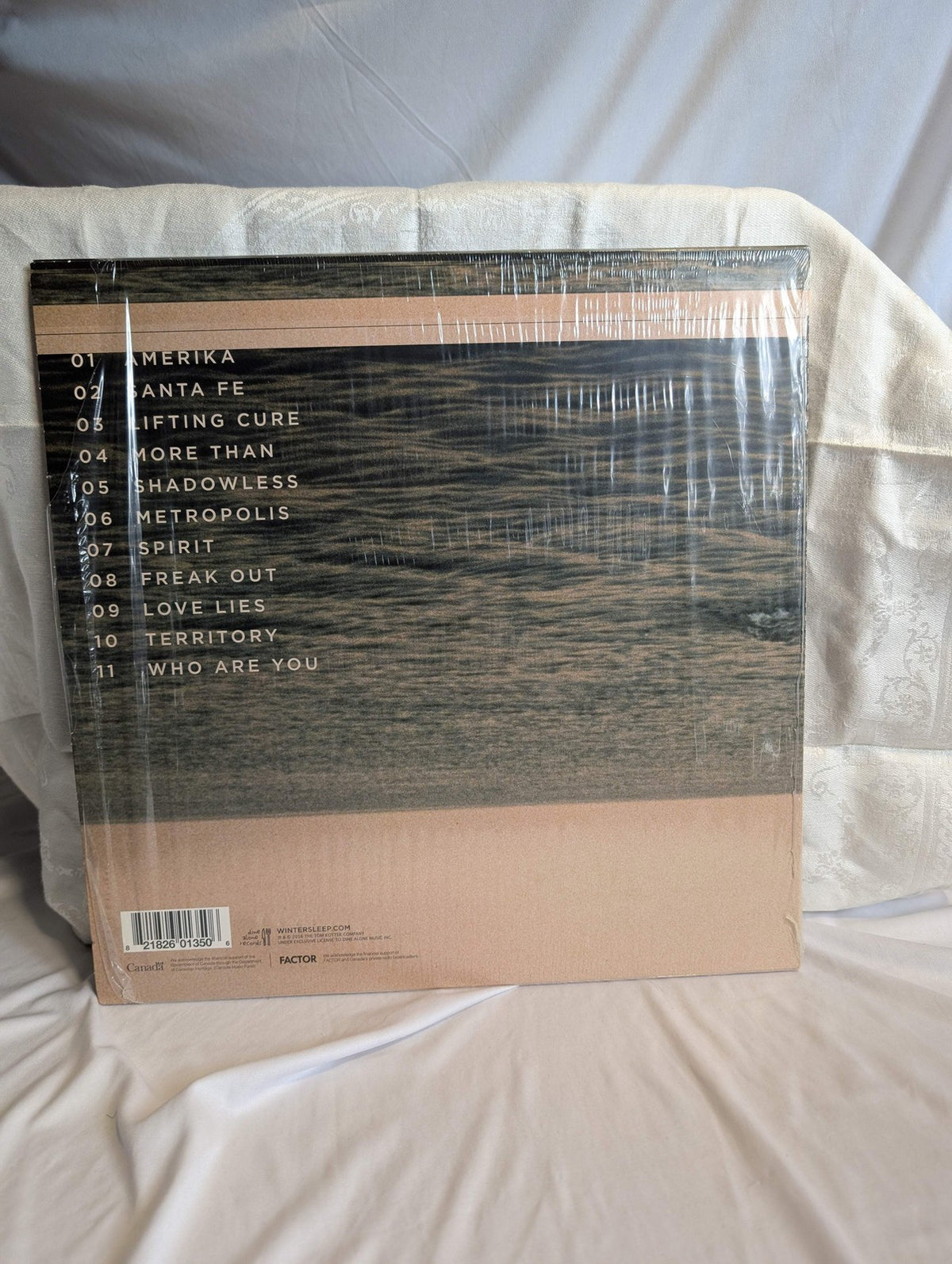 WINTERSLEEP - THE GREAT DETACHEMENT - LP 