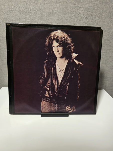Billy Squier   Don't Say No (LP, 1981 Capitol Records ST 12146) Vinyl3
