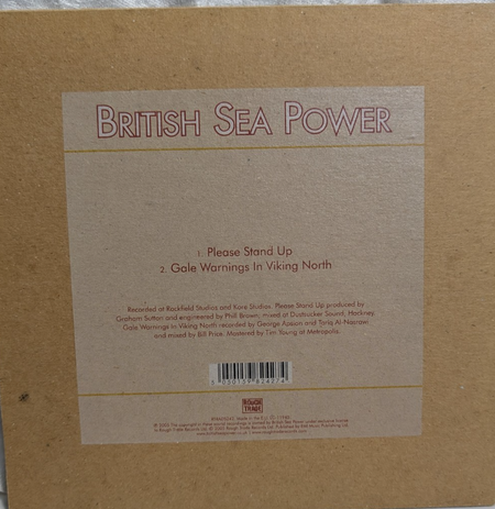 BRITISH SEA POWER   PLEASE STAND UP   7" RECORD1
