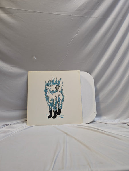 THE BESNARD LAKES   CASINO NANAIMO   12" RECORD0