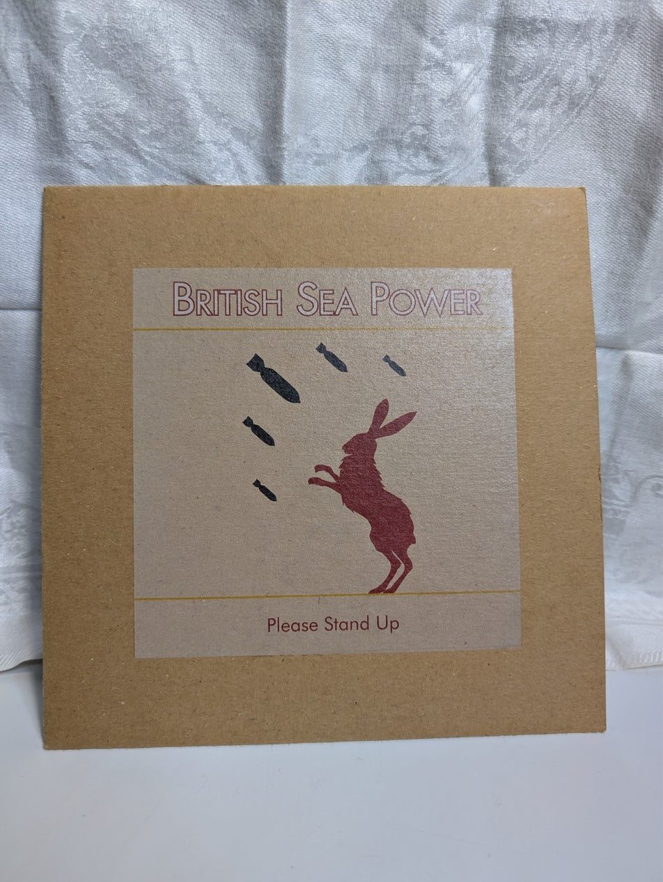BRITISH SEA POWER - PLEASE STAND UP - 7" RECORD