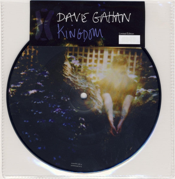 DAVE GAHAN - KINGDOM - EU-2007-7" RECORD -PICTURE DISC*NEW*