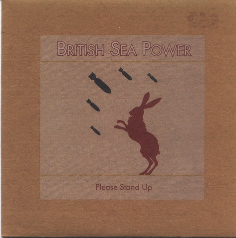British Sea Power- Please Stand Up - 7"