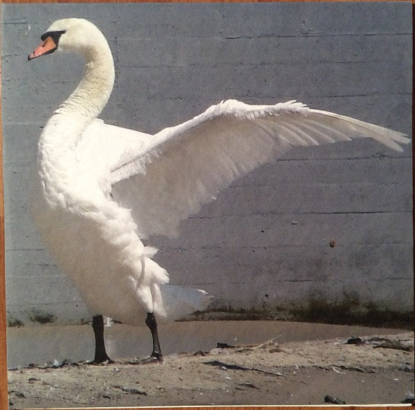 Mutatis Mutandis Construction & Destruction 2010 – Canada Vinyl, LP, Album, Numbered