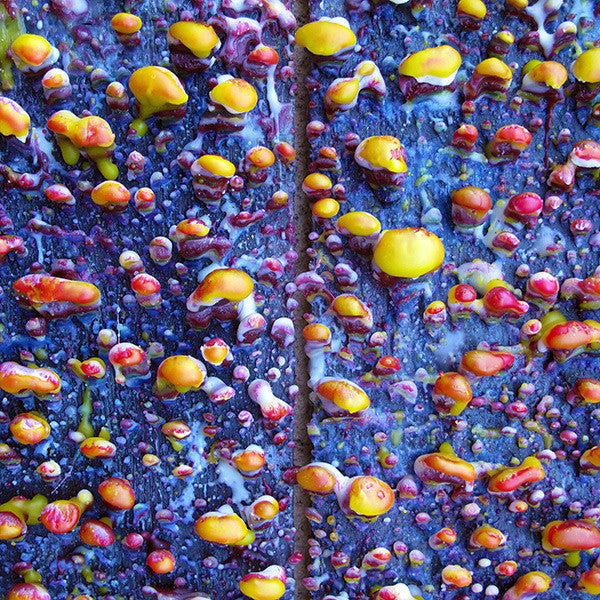 Pick A Piper - 2013 – Canada Vinyl, LP, Album