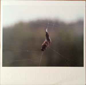 Construction & Destruction-Dark Lark - 2013 – Canada Vinyl, LP, Album
