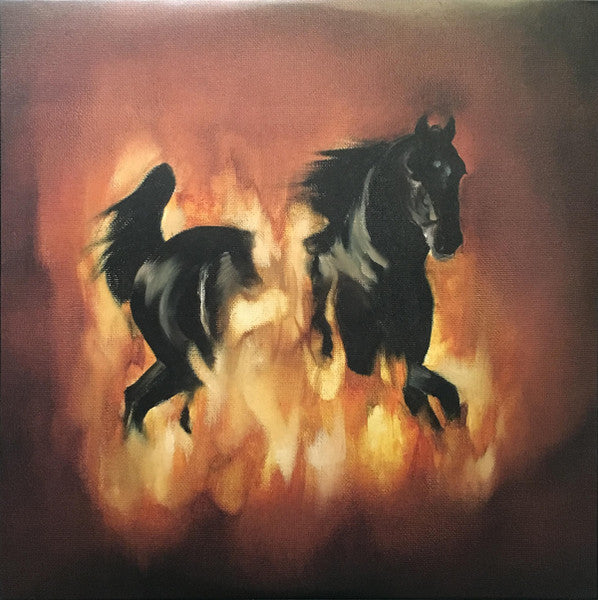 The Besnard Lakes- Are The Dark Horse-The Besnard Lakes 2007 – US Vinyl, LP, Album