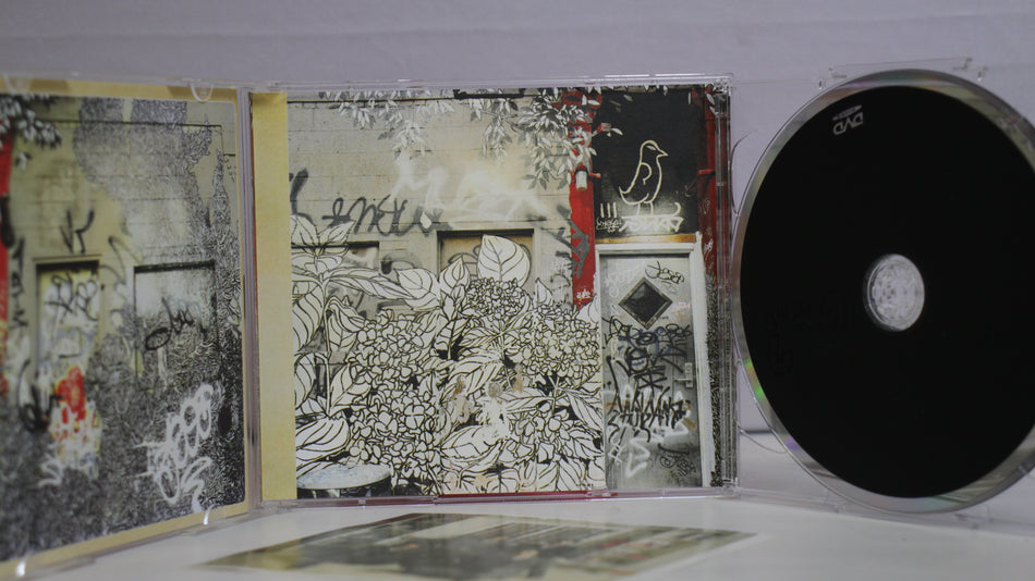 Albert Hammond Jr. – ¿Cómo Te Llama? -CD -2008