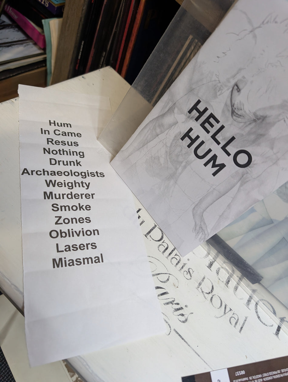 Wintersleep - Hello Hum- 2xLP-Clear - 2012 w/setlist and ticket stub