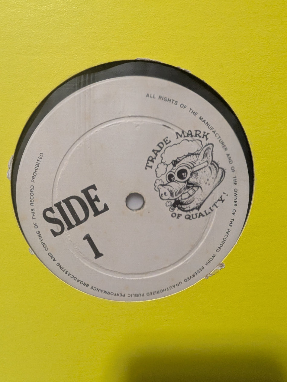 (UNOFFICIAL) The kinks - Long Tall Sally - 12" - 1975