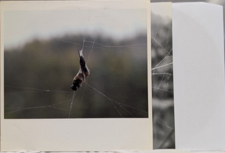 CONSTRUCTION AND DESTRUCTION - DARK LARK - 12" RECORD