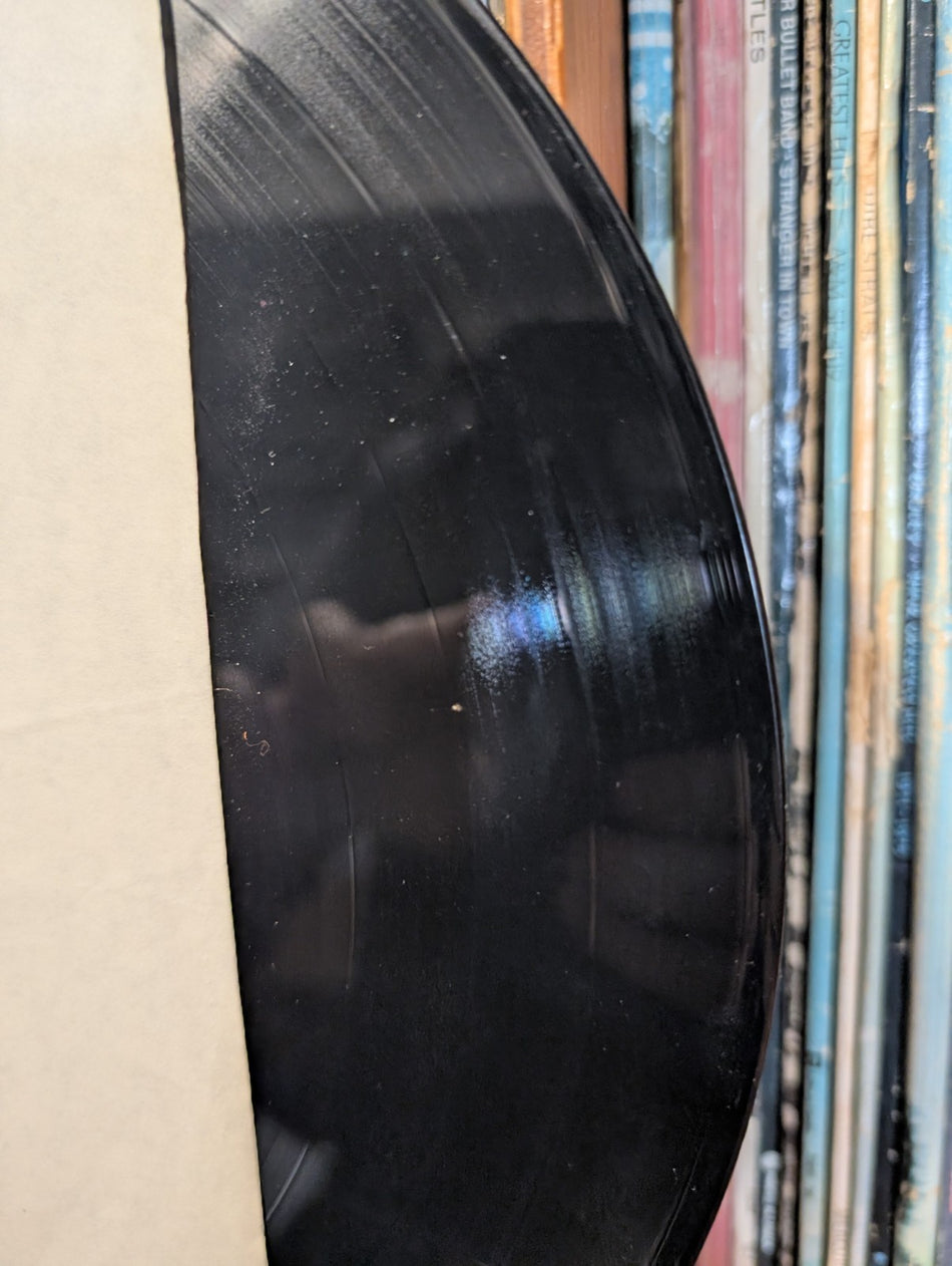 America - View from the Ground (Vinyl Record LP)