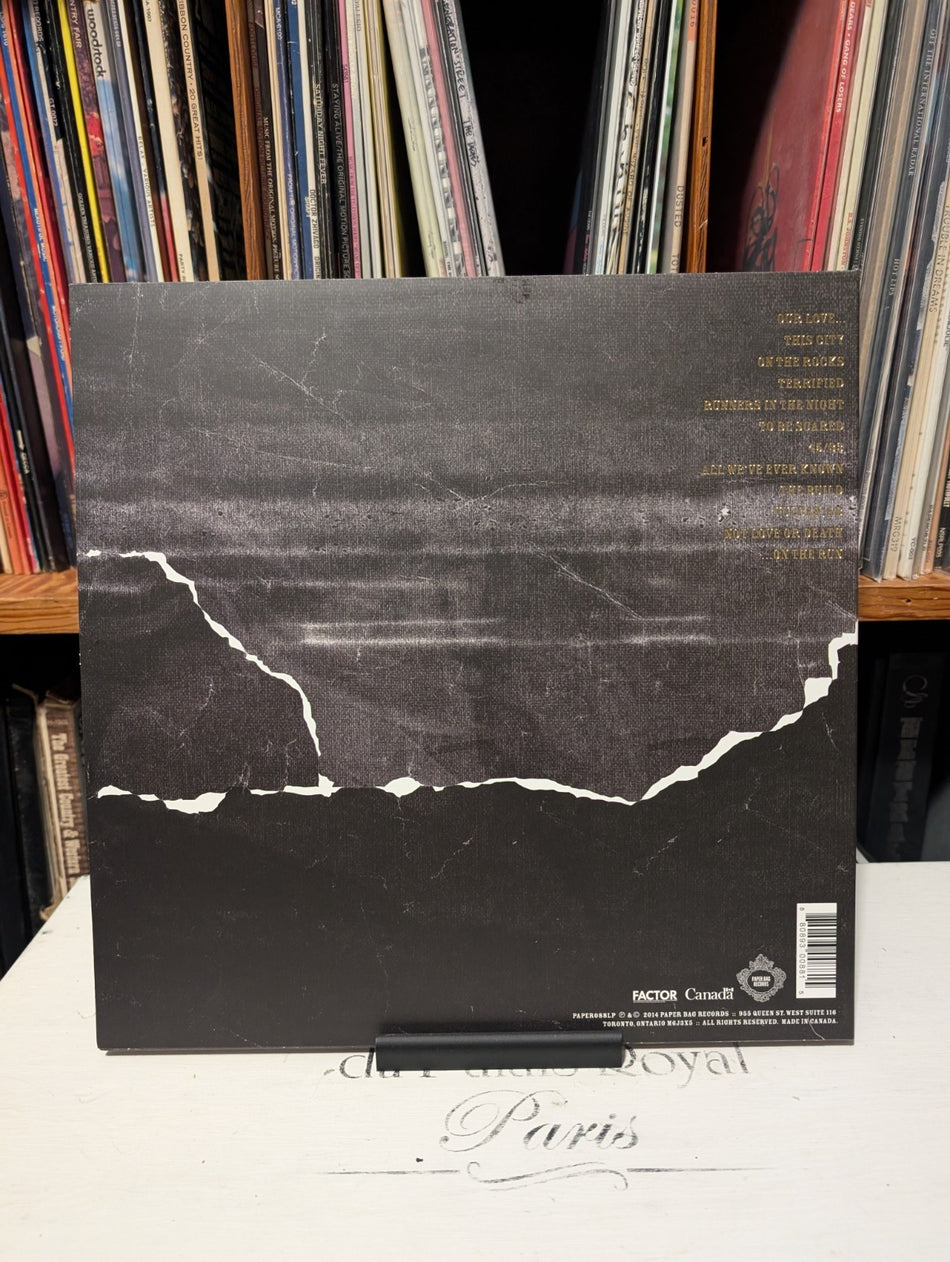 Mended with Gold by Rural Alberta Advantage (Record, 2014)